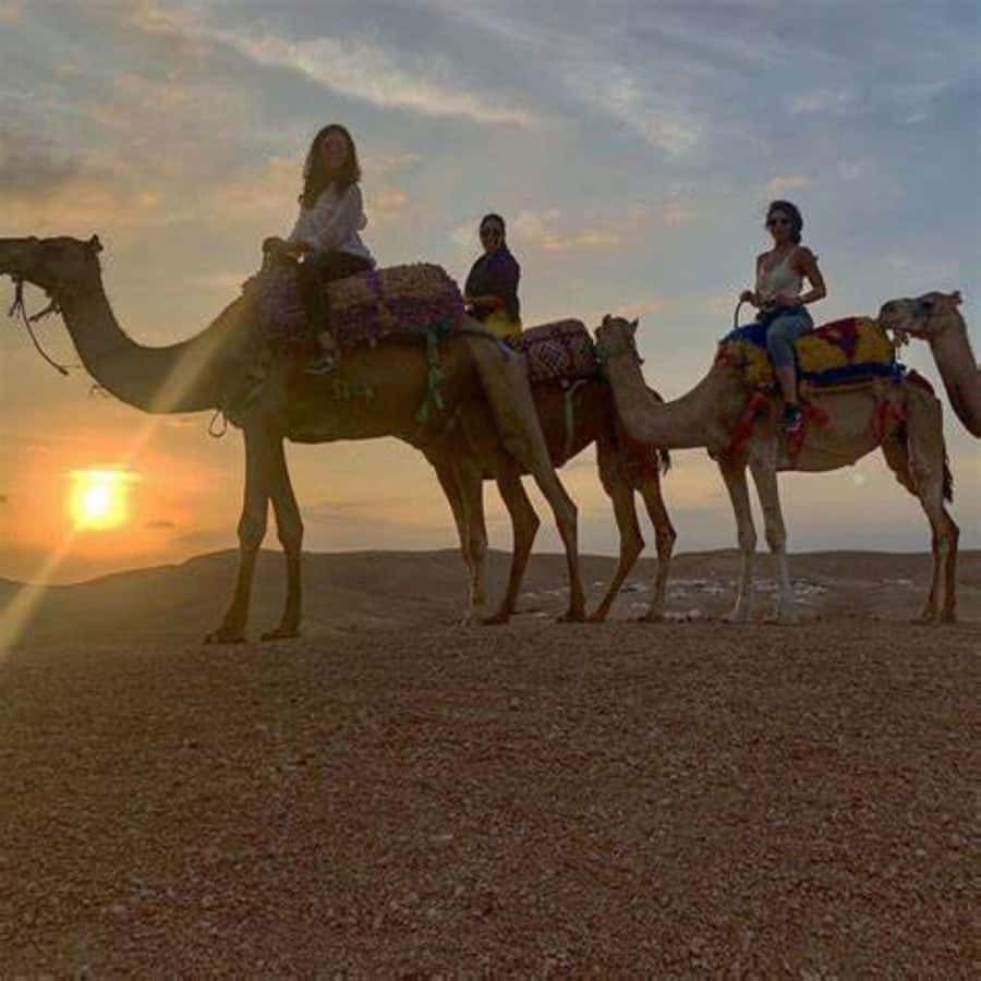 Agafay: Quad, Camel Ride & Dinner Show from Marrakech - Price and value: what $22 really buys you