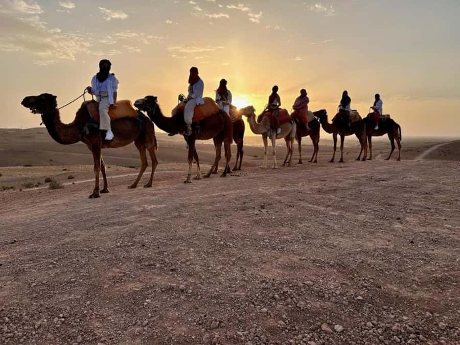 Agafay tour Quade Bike, Sunset and Romantic Dinner Show - Pickup at Hôtel Islane and how to not get delayed
