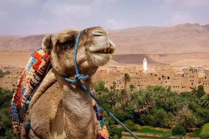 Ait ben haddou and Ouarzazate day trip - What to expect from the guides and drivers (and how to make it work)