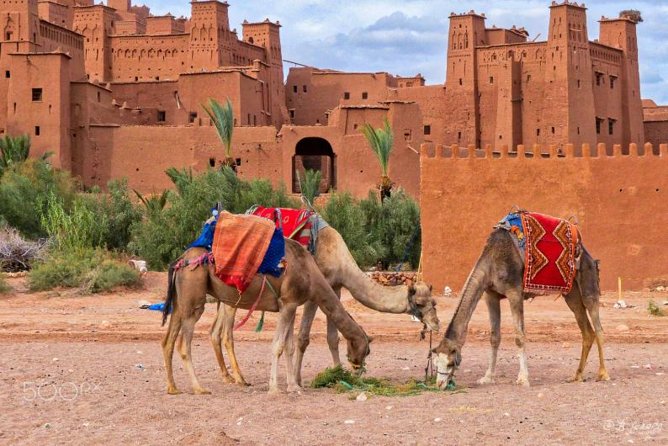 Ait ben haddou and Ouarzazate day trip - Marrakech pickup and the “long day” reality check (12 to 14 hours)
