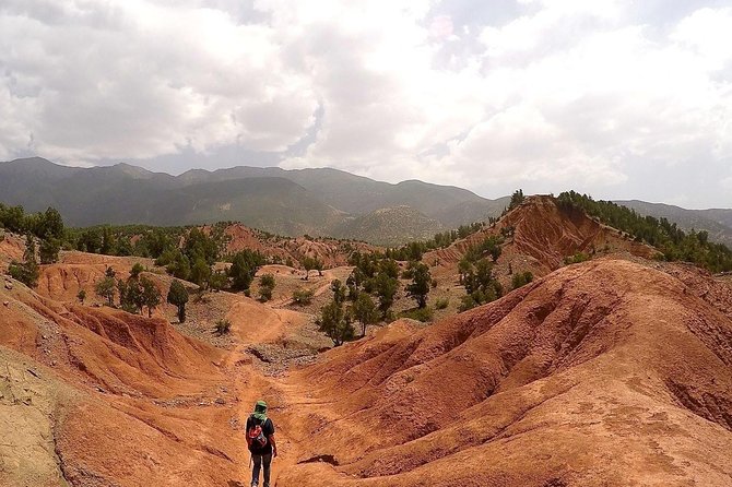 Ait Ben Haddou Kasbahs & Atlas Mountains - Day trip from Marrakech - private - Lunch, guides, and how the team improves your day