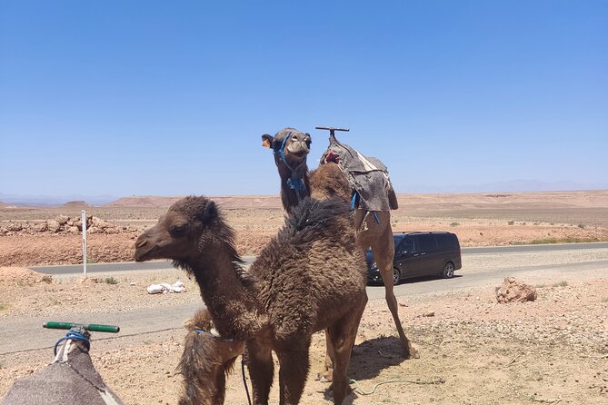 Ait Benhaddou private day trip from Marrakesh - The second kasbah stop, and why it makes the day better