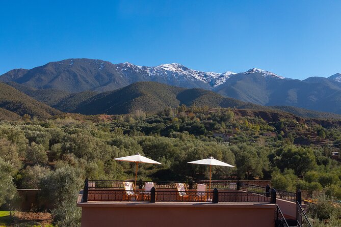 All in One - Special Day With the Berbers - Atlas Mountains - Key things that make this Atlas day trip worth your time