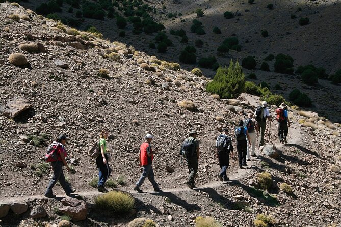 All in One - Special Day With the Berbers - Atlas Mountains - Ouirgane and the dam valley stop: a calm hour in the mountains