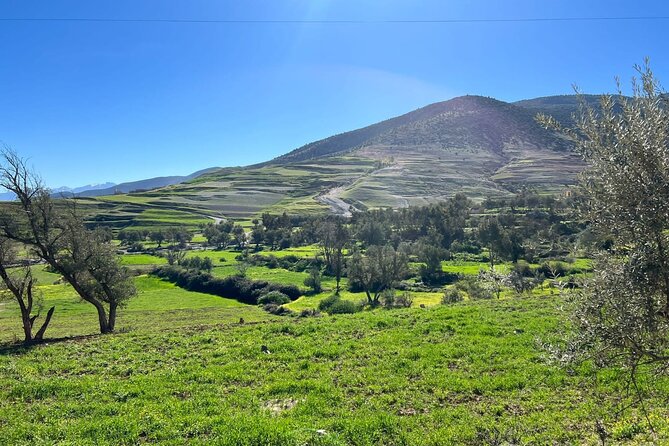 Amizmiz: Berber Villages & Atlas Mountains Tour - Women-Run Argan Cooperatives: More Than a Quick Shop Stop