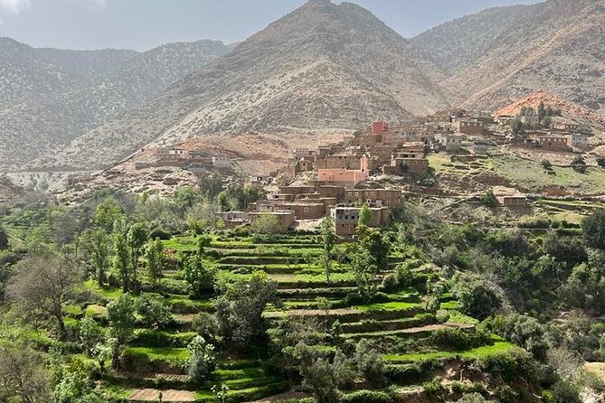 Amizmiz: Berber Villages & Atlas Mountains Tour - Lalla Takerkoust Stop on the Way Back: Another Argan Moment