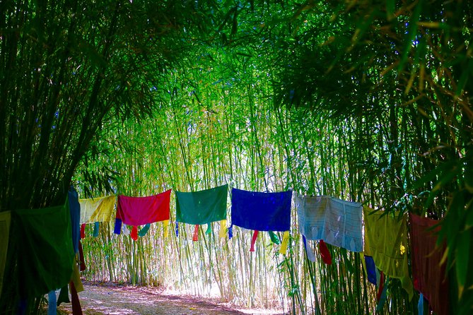 Anima Garden Admission Ticket - Museums inside ANIMA, how to fit them into a 1 to 4 hour visit