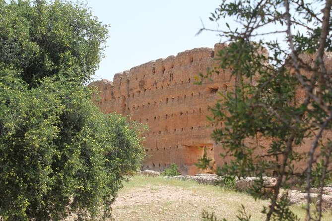 Argan Forest, tea time at a Berbers family & Visit of an Argan cooperative. - Should You Book This Argan Forest and Argan Oil Experience?