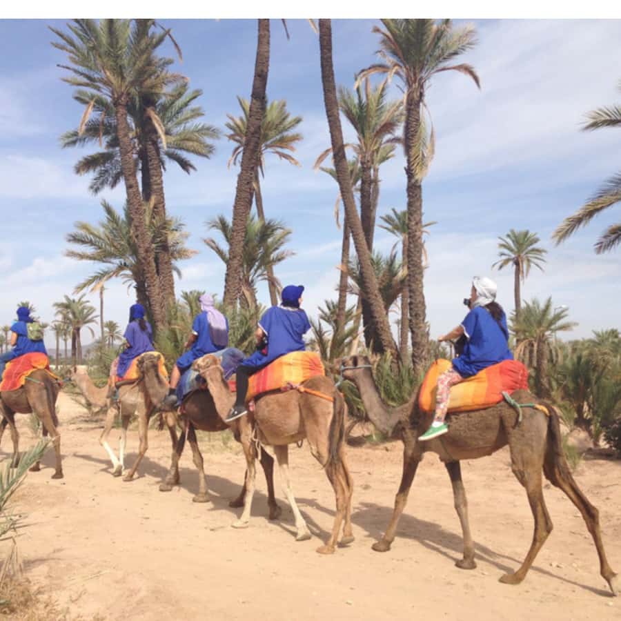 Around Marrakech: Camel Ride in Palm Groves including Tea - Key highlights that matter in real life