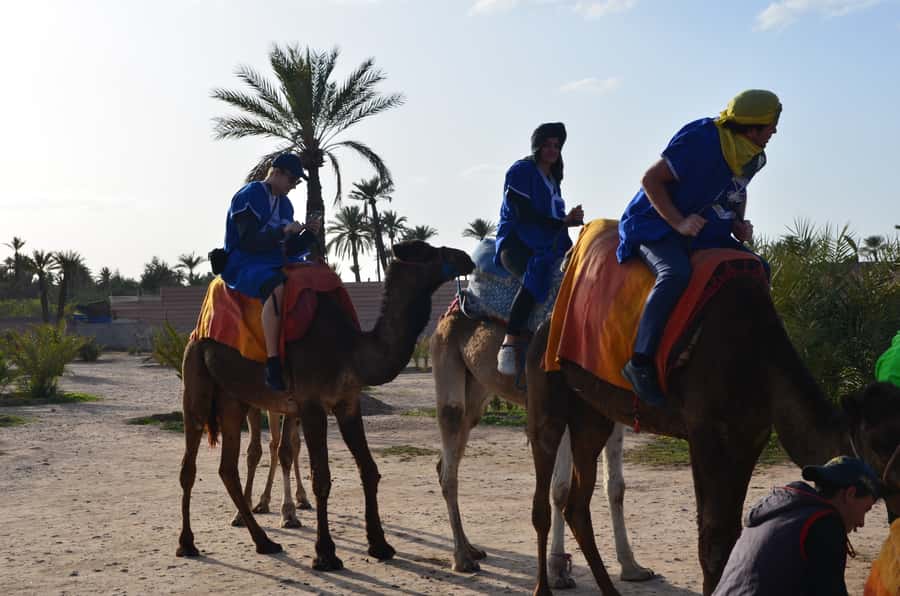 Around Marrakech: Camel Ride in Palm Groves including Tea - The camel ride itself: one hour of pacing, photos, and palm-path calm