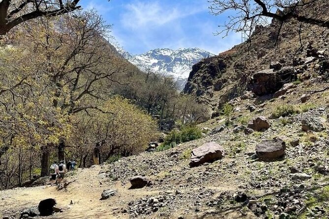 Atlas Bound: Marrakech's 5 Valleys Expedition - Price and Value: Is $139.58 Worth It?