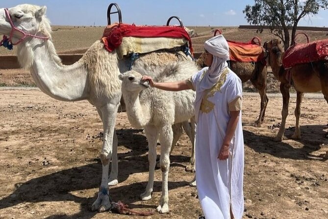 Atlas Bound: Marrakech's 5 Valleys Expedition - The Hike Toward Aroumd: Berber Village Views and Footsteps