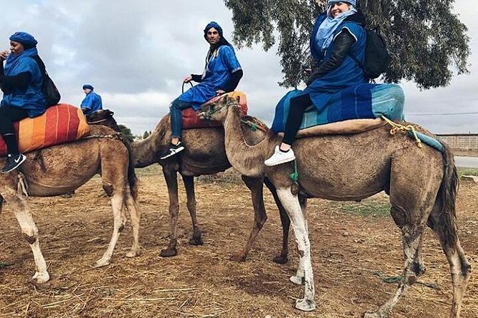 Atlas Mountain & Berber Villages and Waterfalls Day Trip from Marrakech - Stop 3: Cafe Imlil waterfalls for a real breather