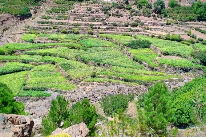 Atlas Mountain & Berber Villages and Waterfalls Day Trip from Marrakech - Stop 4: Dar Aymane lunch with tajine, salad, and mint tea