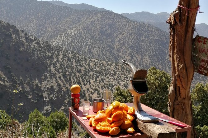 Atlas Mountain & Berber Villages and Waterfalls Day Trip from Marrakech - Price and logistics: what $34.89 really covers