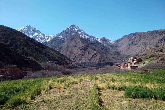 Atlas Mountain Day Trip - Price and Value: Why This Costs About $29.08