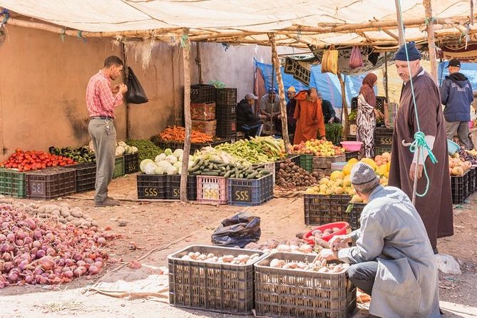 Atlas Mountain From Marrakech - Argan Women’s Cooperative: A Modern Morocco Stop That Fits