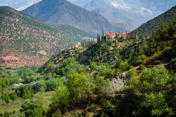 Atlas Mountain Full Day Tour with Three Valleys and Waterfalls - Why This Atlas Day Trip Feels Worth Your Time