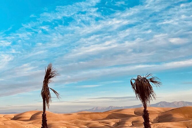 Atlas Mountain Imlil Waterfall & Berber Villages Camel Ride Trip - Who should book this Agafay camel and Berber evening?