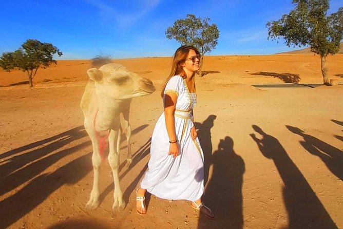 Atlas Mountains, 3 Valleys & Agafay Desert from Marrakech-DayTour - Camel ride reality check: fun, short, and not pure desert