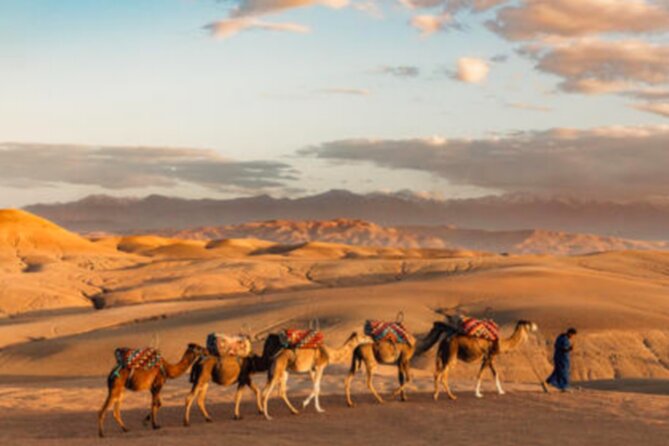 Atlas Mountains, 3 Valleys & Agafay Desert from Marrakech-DayTour - Lunch timing, cost, and what to plan for