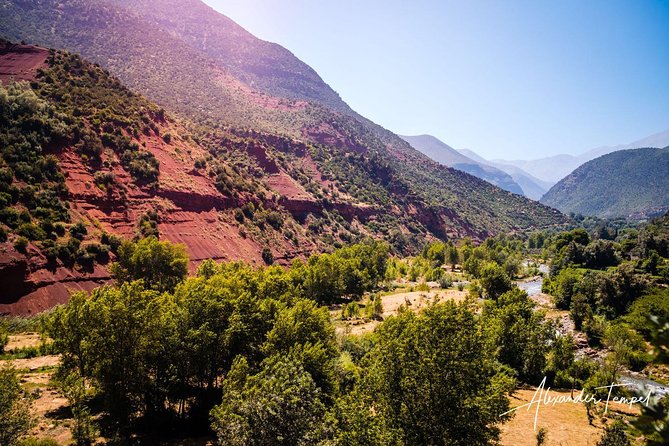 Atlas Mountains & 3 Valleys Private Tour From Marrakech - Mint tea breaks: the small pauses that make the day