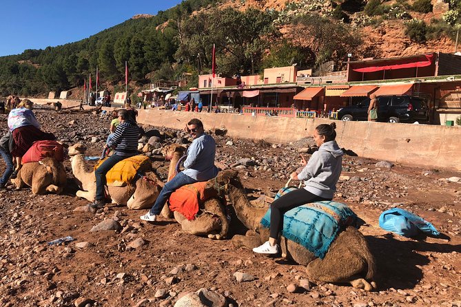 Atlas Mountains: 3 Valleys, Waterfalls & Camel Ride in Marrakech - Key Highlights You’ll Actually Care About