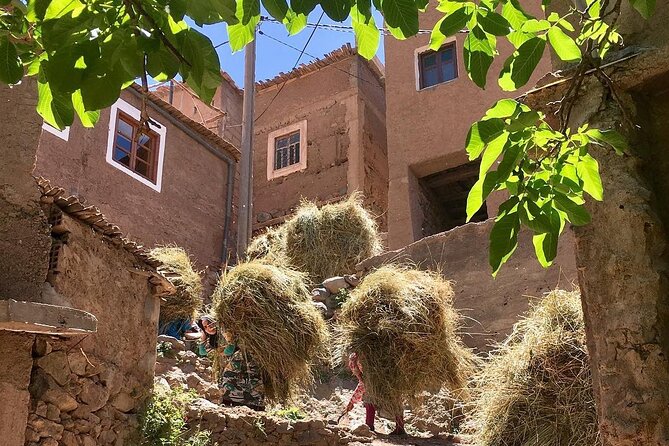 Atlas mountains 3valleys waterfall & camel ride - Asni Valley at around 1,800 meters: adobe villages and daily life