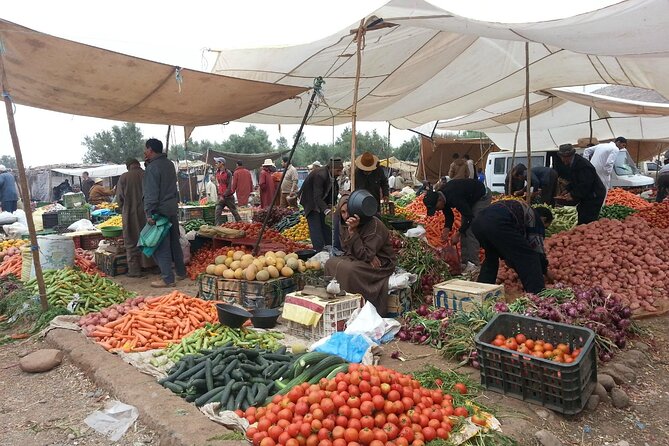 Atlas mountains 3valleys waterfall & camel ride - Imlil: rooftop Berber lunch plus the most “worth it” walking