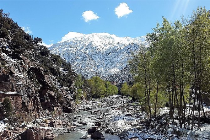 Atlas Mountains & 5 Valleys Tour from Marrakech - All inclusive - - Lunch at a Berber Family Home: Tagine Is the Star
