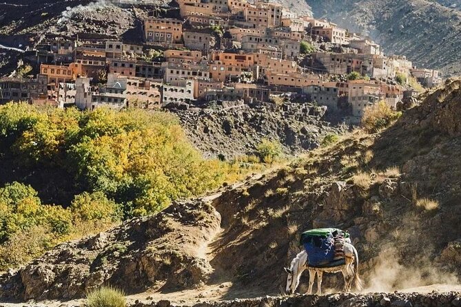 Atlas Mountains and 3 Valleys & Waterfalls - Camel Ride Marrakech - Atlas Mountains and 3 Valleys: what the day is really like