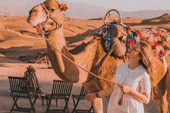 Atlas Mountains and Berber villages & Waterfalls with Camel ride - Atlas Waterfalls: The Walk You Should Prepare For