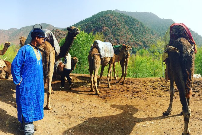Atlas Mountains and Camel ride Day trip, from Marrakech - The Hike Through Berber Villages and the Waterfall Moment