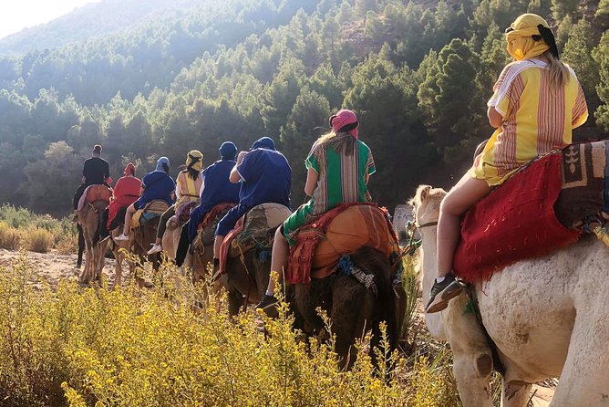 Atlas Mountains and Three Valleys & Waterfalls - Camel ride Day Trip Marrakech - Imilil Valley: The Lunch Stop You’ll Actually Remember