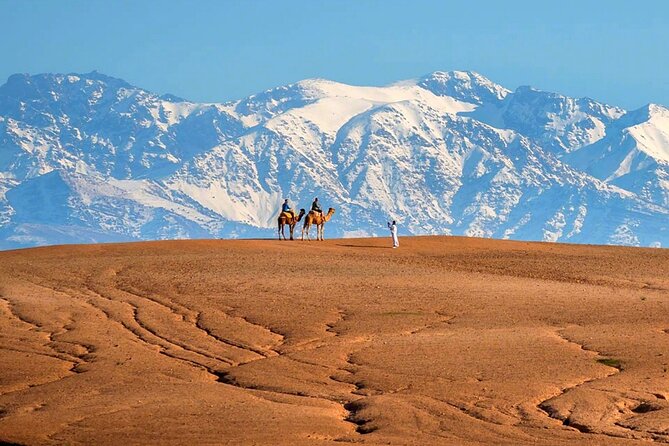 Atlas Mountains and Three Valleys & Waterfalls - Villages Marrakech Day Trip - Setti Fatma waterfalls: beautiful, but set your expectations