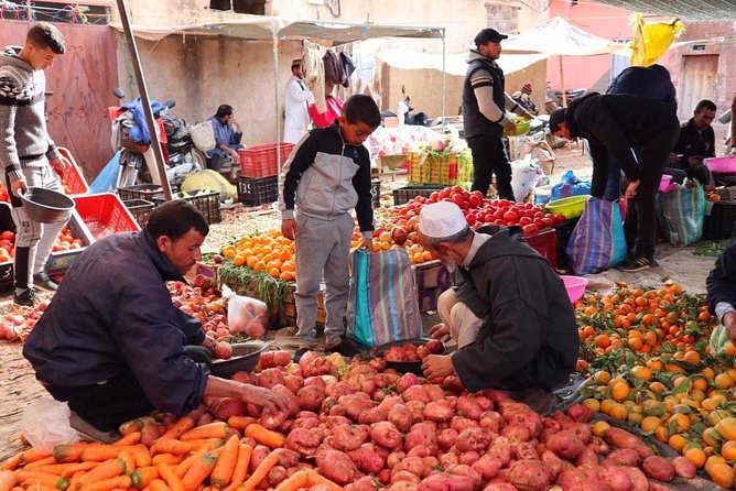 Atlas Mountains and Three Valleys & Waterfalls with Camel ride Day Trip - Key highlights you’ll actually use