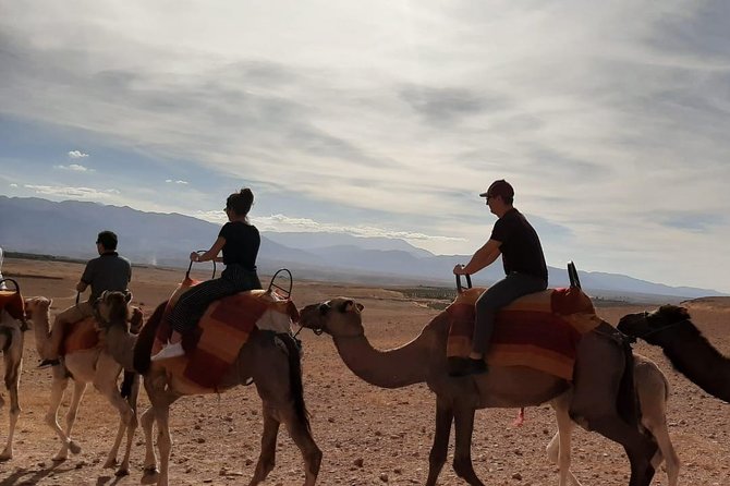 Atlas Mountains and Three Valleys & Waterfalls with Camel ride Day Trip - Imlil and that welcome mint tea before you start walking