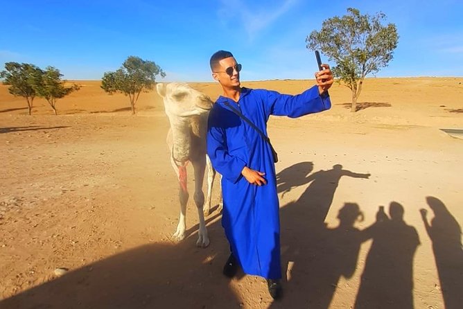 Atlas Mountains and Three Valleys & Waterfalls with Camel ride Guided Day Trip - Waterfalls, Altitude Cold, and What to Pack