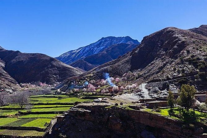 Atlas Mountains and Three Valleys & Waterfalls with Camel ride Guided Day Trip - Price and Logistics, Including What You Actually Pay For
