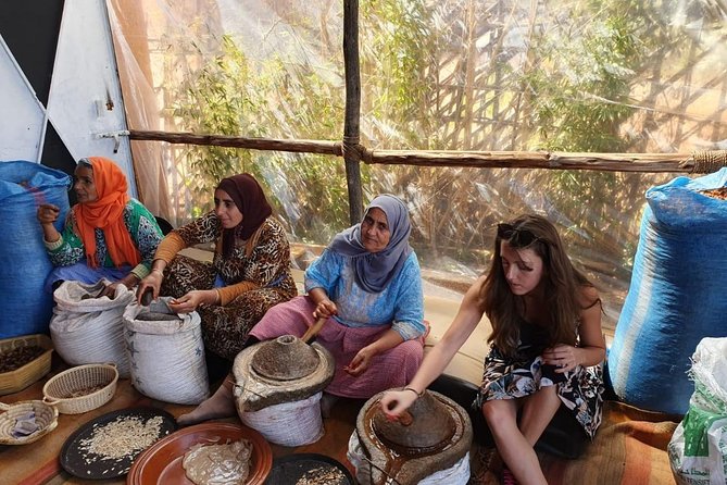 Atlas Mountains and Three Valleys & Waterfalls with Camel ride Guided Day Trip - Getting Up Close With the Ourika Valley Walking Route