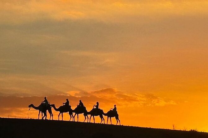 Atlas Mountains, Berber Villages and Three Valleys all inclusive - Marrakech to the Atlas: Why This Day Trip Feels Different