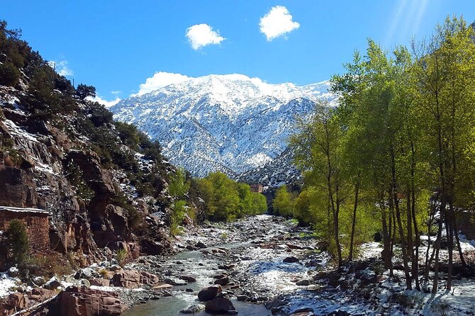 Atlas Mountains & Berber villages: optional Camel ride/Waterfall - How the day flows, timing, and why your guide makes the difference