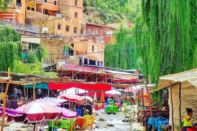 Atlas Mountains & Berber villages: optional Camel ride/Waterfall - Should you book this Atlas Mountains and Berber villages tour?