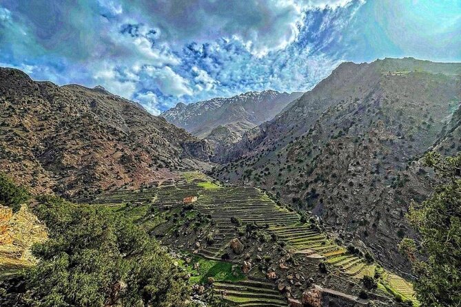 Atlas Mountains & Berber Villages & Waterfalls & Camel Ride Trip - Imi n’Tala Lunch with a Local Family: Where the Day Becomes Food-First