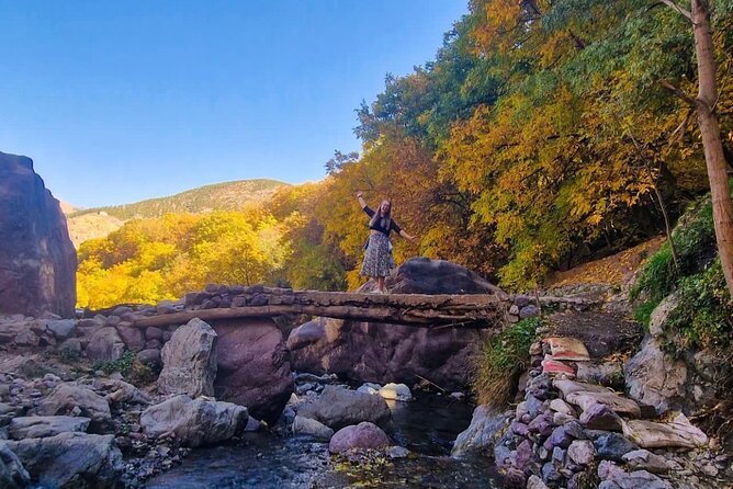 Atlas Mountains & Berber Villages & Waterfalls & Camel Ride Trip - Amizmiz Mint Tea, Takerkouste Lake Views, and Back-Country Driving