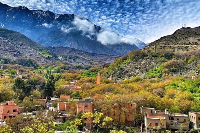 Atlas Mountains & Berber Villages & Waterfalls & Camel Ride Trip - Group Size, Guide Style, and Why the Day Feels Manageable