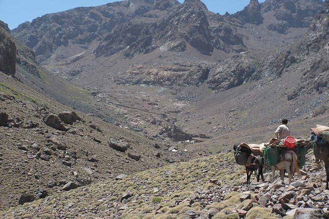 Atlas Mountains Day Tour with Camel Ride - Key Things You Will Notice on This Tour