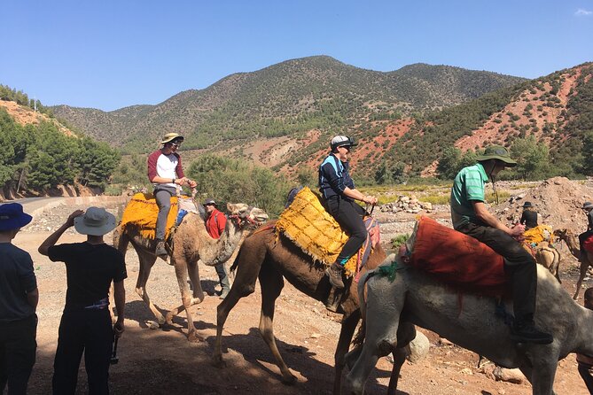 Atlas Mountains Day Tour with Camel Ride - Price and Logistics: What Your Money Covers (and What It Does Not)