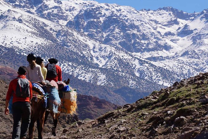 Atlas Mountains Day Tour with Camel Ride - Imlil and the Guided Walk Toward Aremd