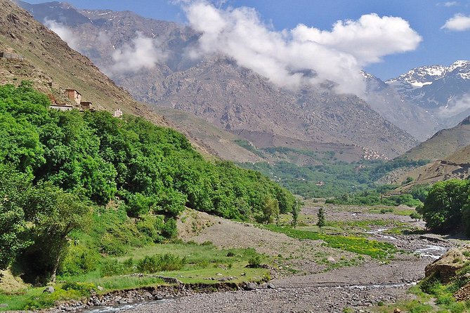 Atlas Mountains Day Tour with Camel Ride - Lunch and Timing: How to Stay Comfortable for 7 to 8 Hours